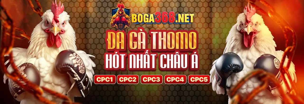 Đá gà Thomo trực tiếp tại Alo789