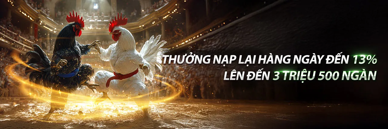 Trận Đá Gà Kịch Tính Alo 789