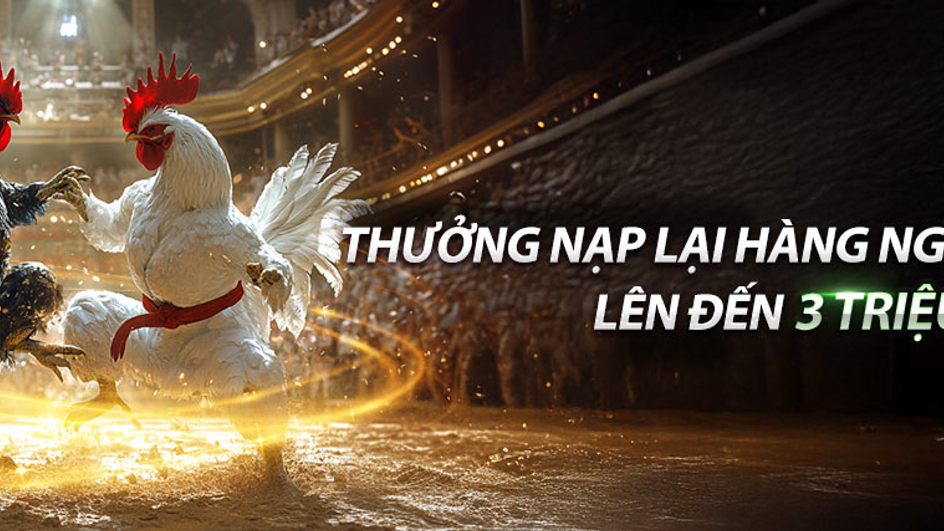 Một trận đá gà kịch tính đang diễn ra tại trường đấu, với không khí sôi động và khán giả cổ vũ cuồng nhiệt.