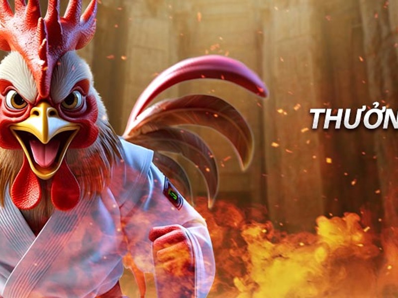 Kêu gọi hành động tham gia Alo789 đá gà