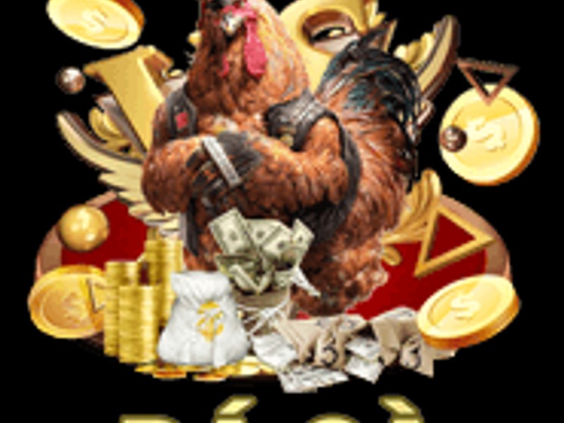 Một trận đấu đá gà kịch tính tại sân vận động