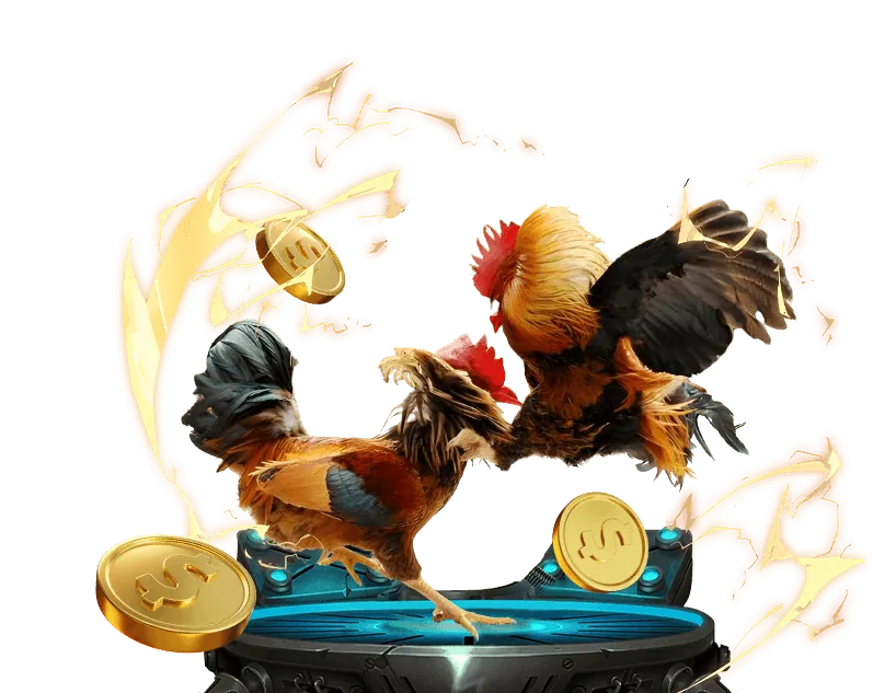 Đá gà trực tiếp alo789