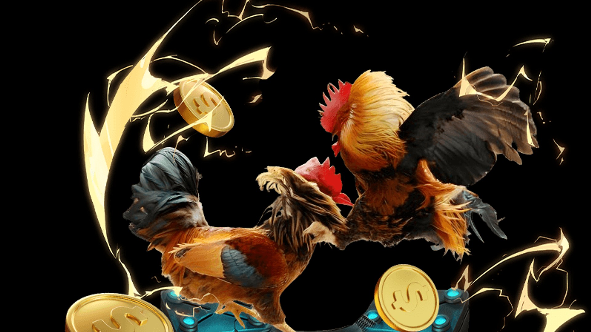 Hình ảnh gà chiến đang thi đấu trên sàn đấu trực tuyến alo789 đá gà